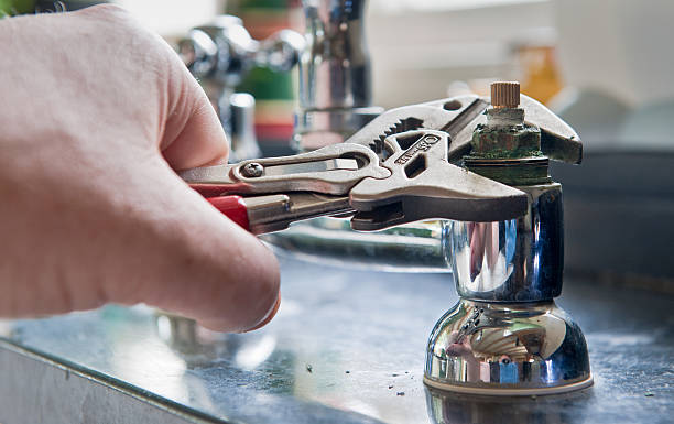 Best Mold removal after water damage  in Xtang, PA