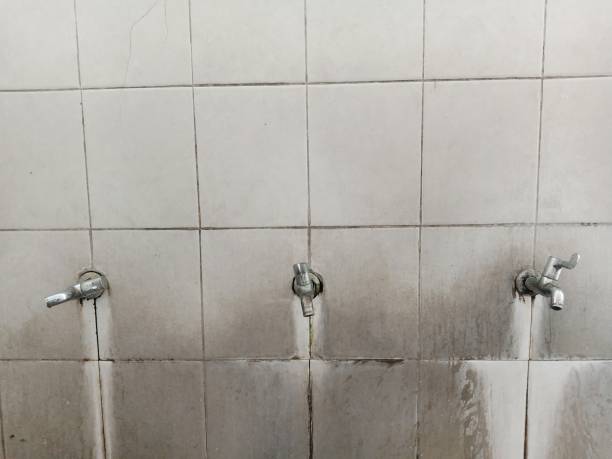 Best Water damage restoration near me  in Xtang, PA